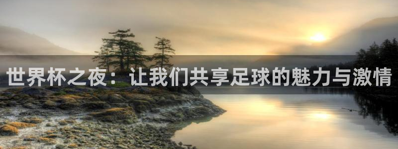 足球世界杯时间：世界杯之夜：让我们共享足球的魅力与激情