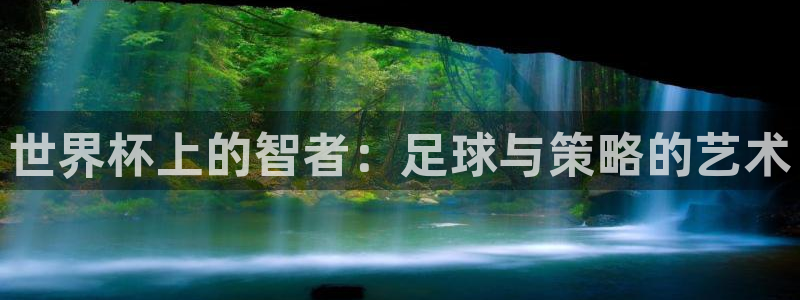 世界杯直播在线观看入口：世界杯上的智者：足球与策略的艺术