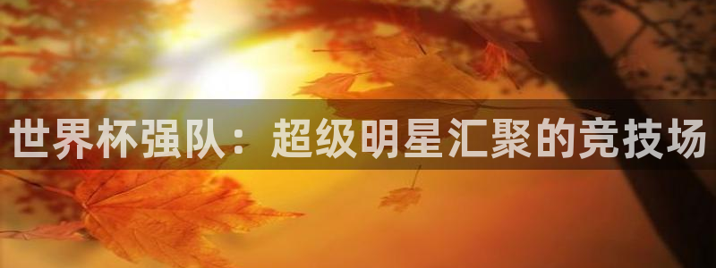 预选赛世界杯：世界杯强队：超级明星汇聚的竞技场