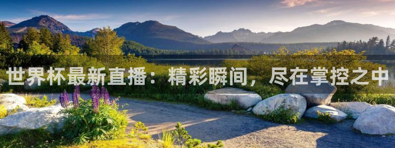 2026世预赛赛程：世界杯最新直播：精彩瞬间，尽在掌控之中