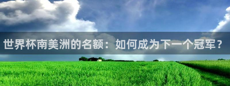 世界杯足球直播：世界杯南美洲的名额：如何成为下一个冠军？