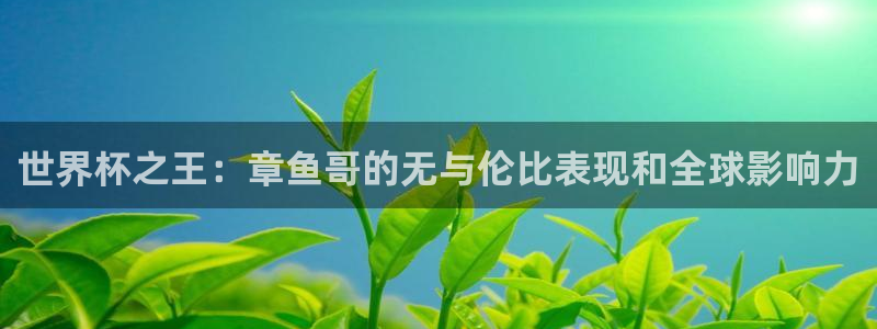 世界杯2026比赛时间表：世界杯之王：章鱼哥的无与伦比表现和全球影响力