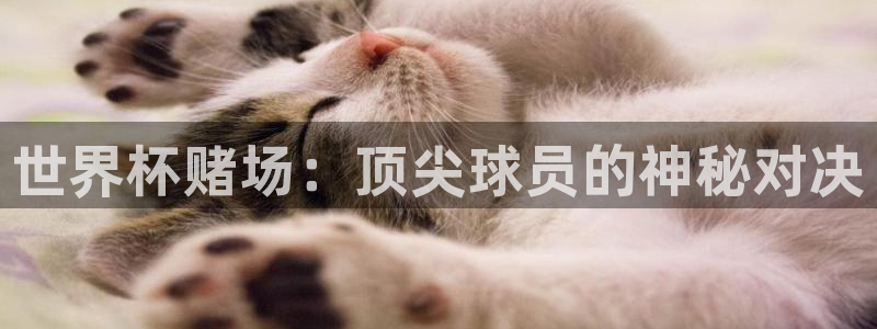 2026世界杯预选赛：世界杯赌场：顶尖球员的神秘对决