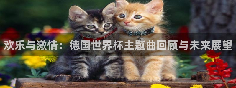世预赛直播：欢乐与激情：德国世界杯主题曲回顾与未来展望