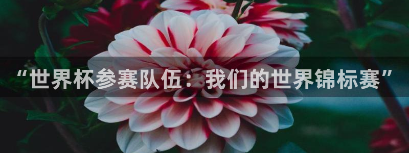 2026世界杯32强对阵图表：“世界杯参赛队伍：我们的世界锦标赛”