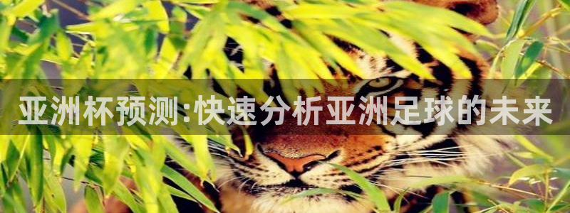 世界杯48支球队赛制：亚洲杯预测:快速分析亚洲足球的未来