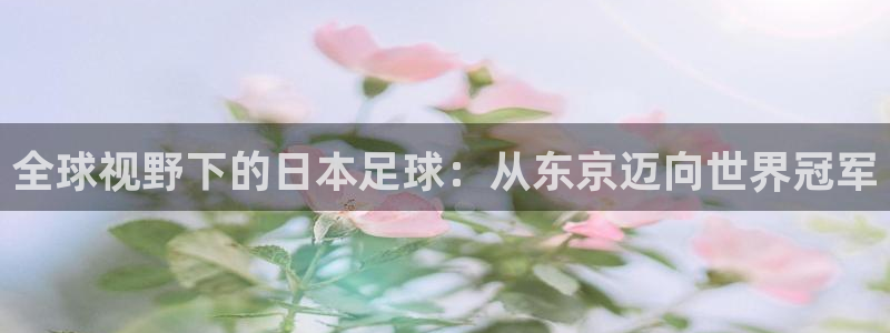 亚洲区世界杯预选赛：全球视野下的日本足球：从东京迈向世界冠军
