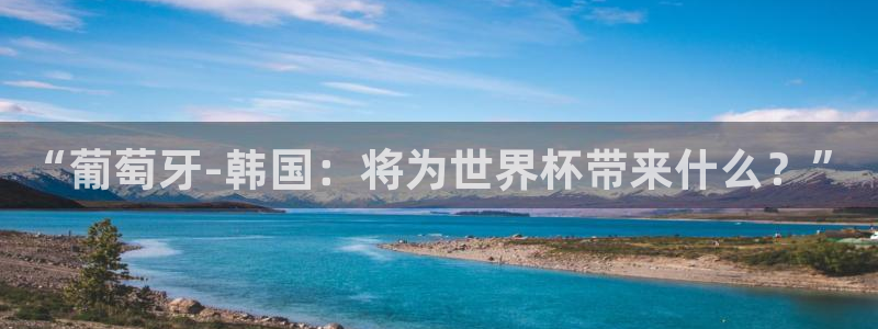 2026世界杯：“葡萄牙-韩国：将为世界杯带来什么？”